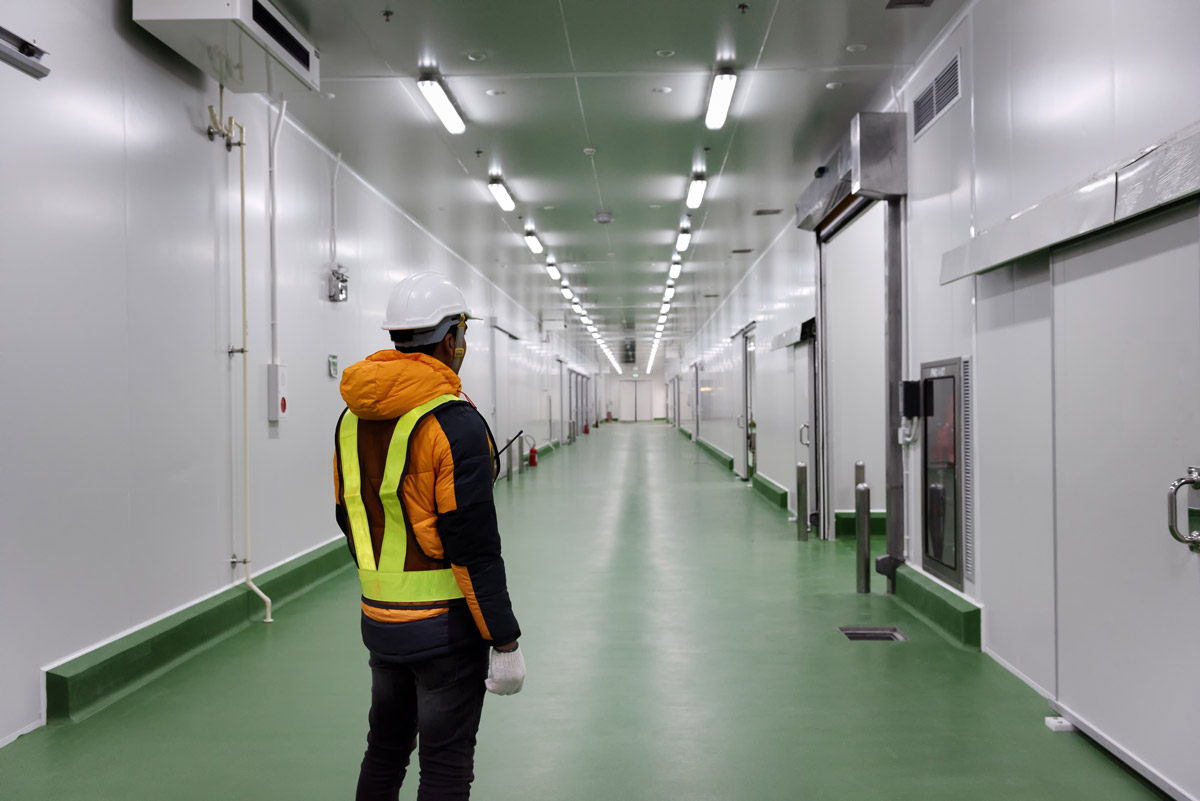 What Are the Benefits of Vancouver Temperature Controlled Warehouses